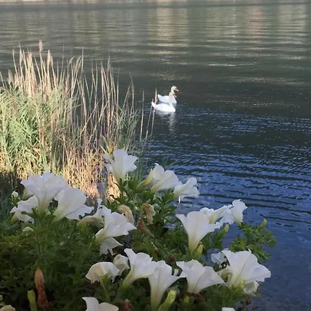 La Casa Dei Cigni Sul D'orta * Omegna
