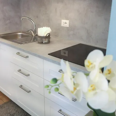 Hébergement de vacances La Casa Dei Cigni Sul D'orta *