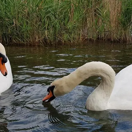 Prázdninový dům La Casa Dei Cigni Sul D'orta Omegna